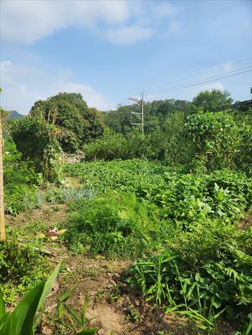 生產者圖片