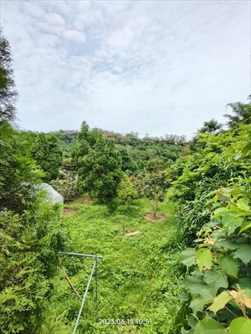 生產者圖片