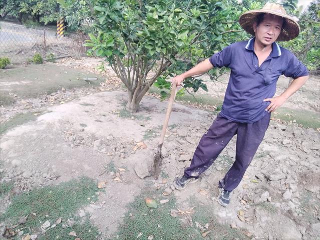 生產者圖片