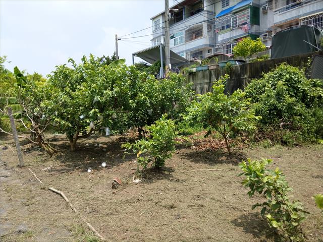 生產者圖片