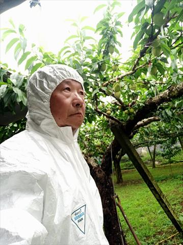 生產者圖片