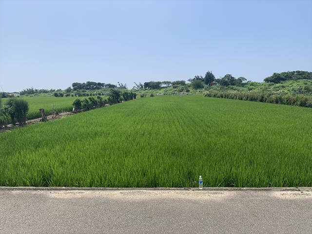 生產者圖片