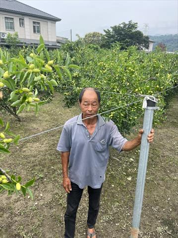 生產者圖片