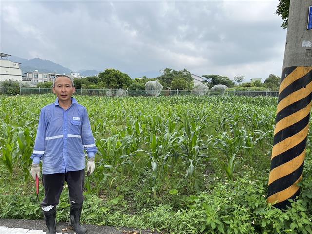 生產者圖片