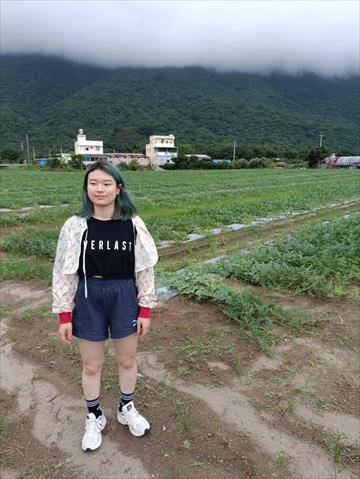 生產者圖片
