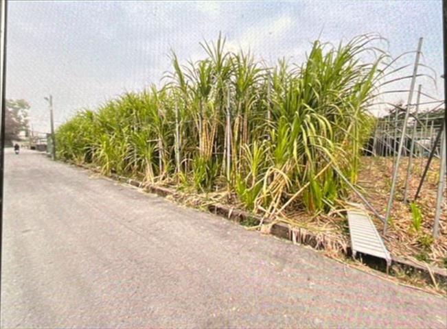 生產者圖片