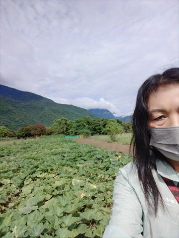生產者圖片