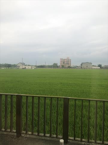 生產者圖片