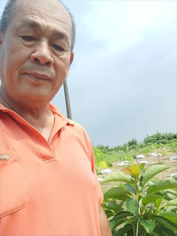 生產者圖片