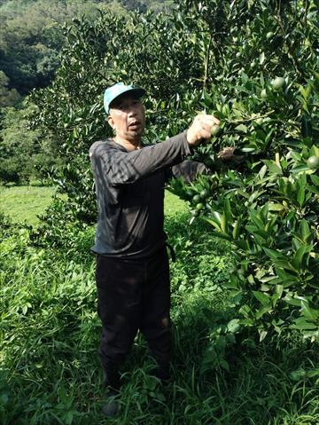 生產者圖片