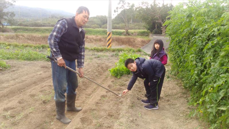生產者圖片
