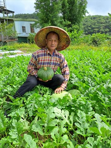 生產者圖片