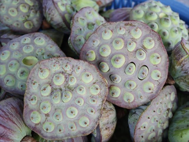 生產者圖片