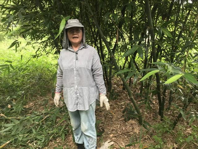 生產者圖片