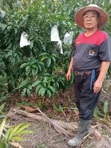 生產者圖片