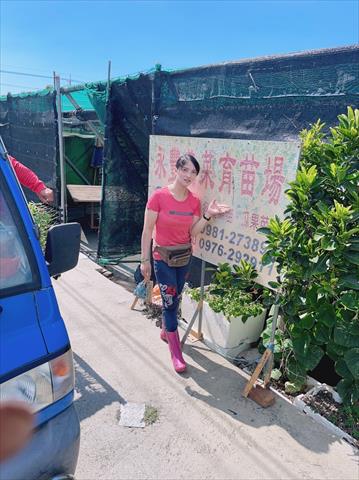 生產者圖片