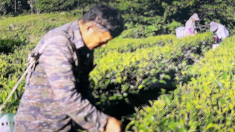 生產者圖片