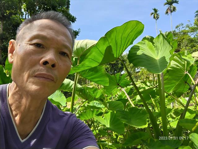 生產者圖片
