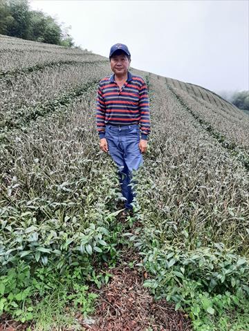 生產者圖片