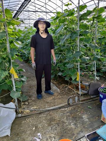 生產者圖片