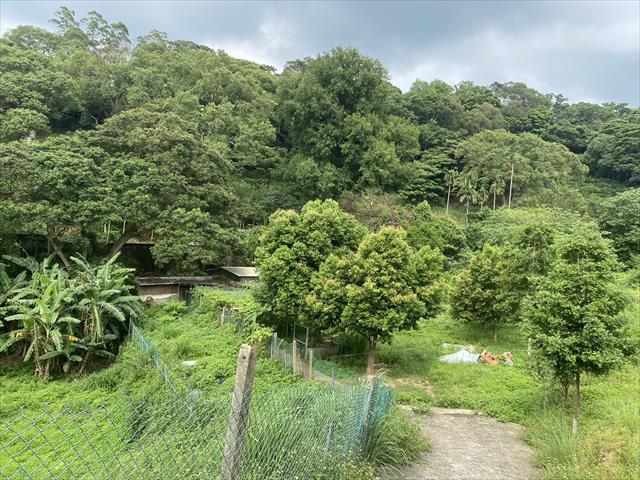 生產者圖片