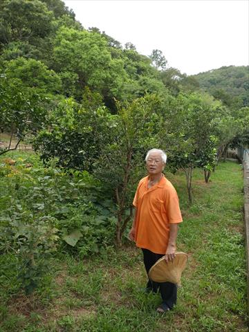 生產者圖片