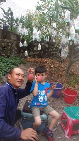 生產者圖片