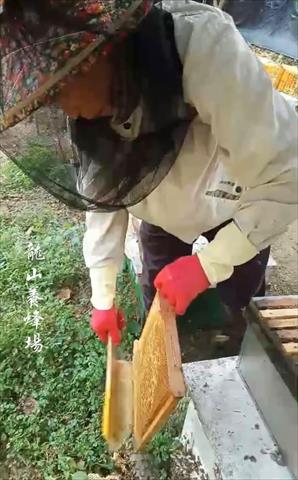 生產者圖片