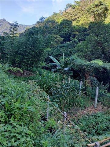 生產者圖片