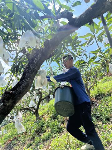 生產者圖片