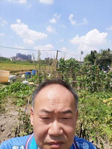 生產者圖片