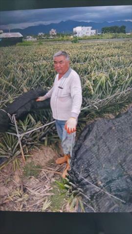 生產者圖片
