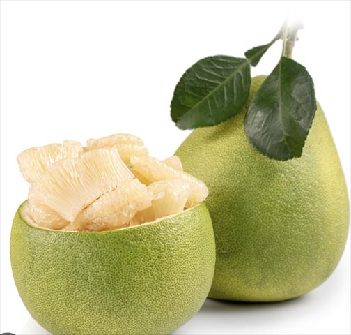 生產者圖片