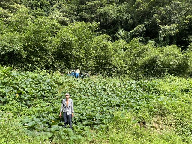 生產者圖片