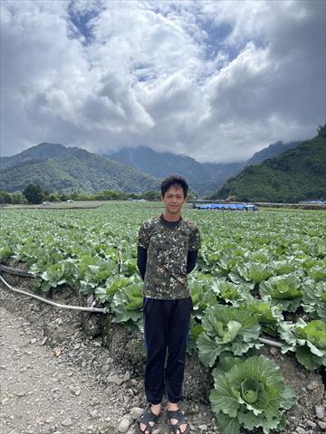 生產者圖片