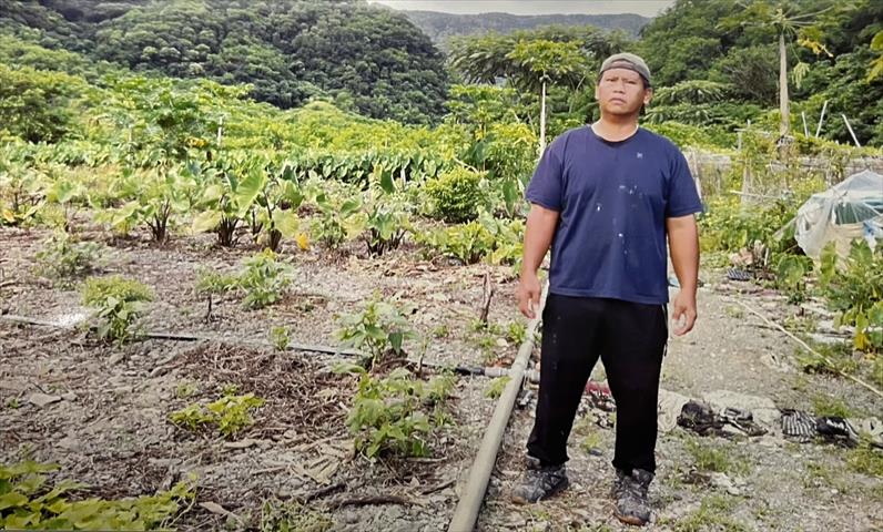 生產者圖片