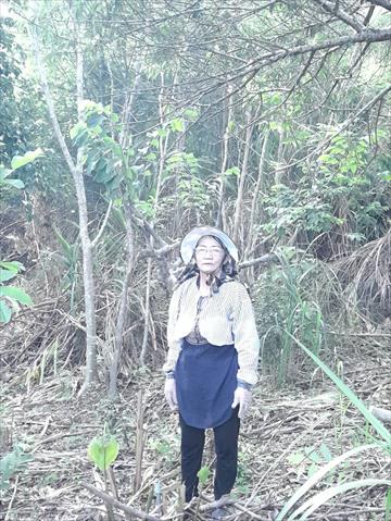 生產者圖片