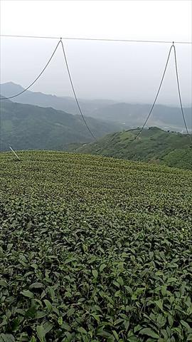 生產者圖片