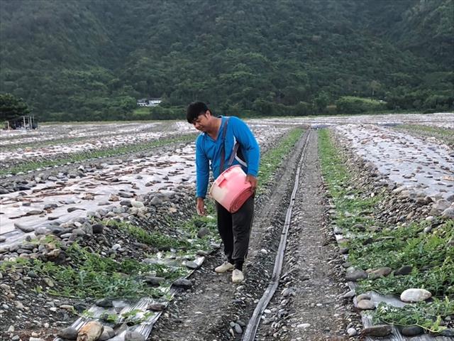 生產者圖片