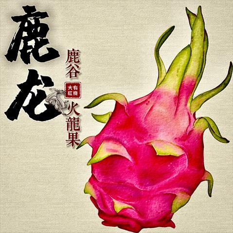 生產者圖片