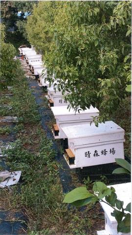 生產者圖片