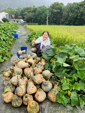 生產者圖片