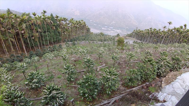 生產者圖片