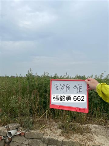 生產者圖片