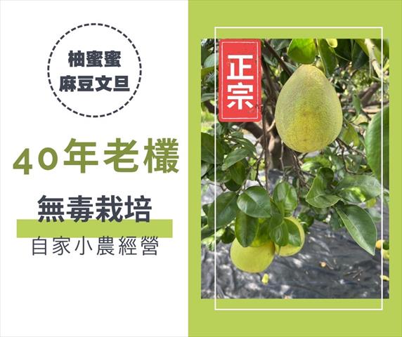 生產者圖片