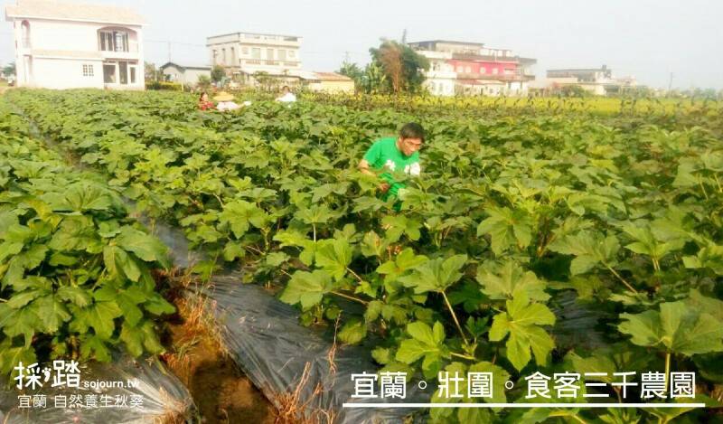 生產者圖片