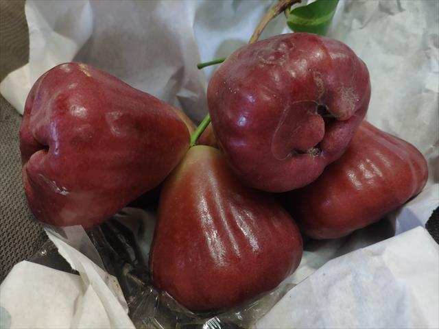 生產者圖片