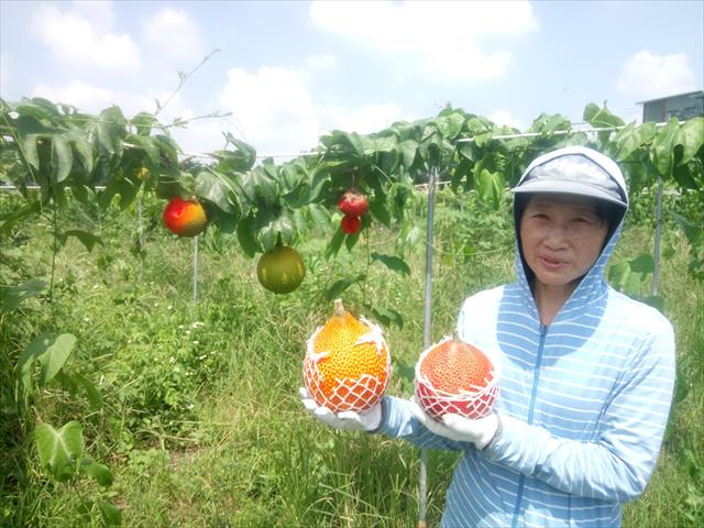 生產者圖片