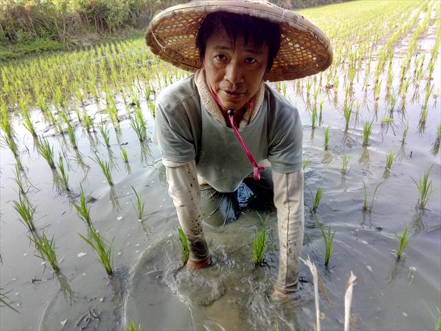 生產者圖片