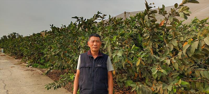 生產者圖片
